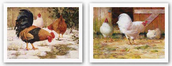 White Leghorns and December Chickens Set by Robert A. Johnson