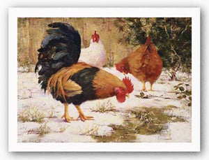 December Chickens by Robert A. Johnson