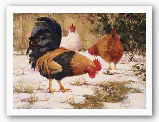 December Chickens by Robert A. Johnson