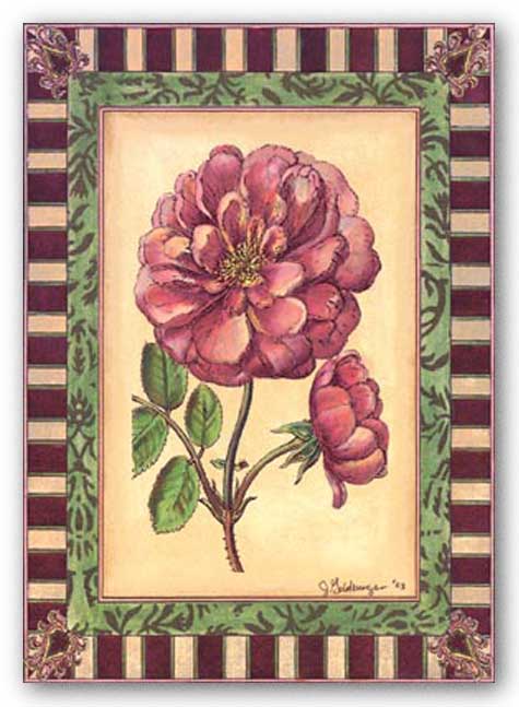 Renaissance Rose I by Jennifer Goldberger