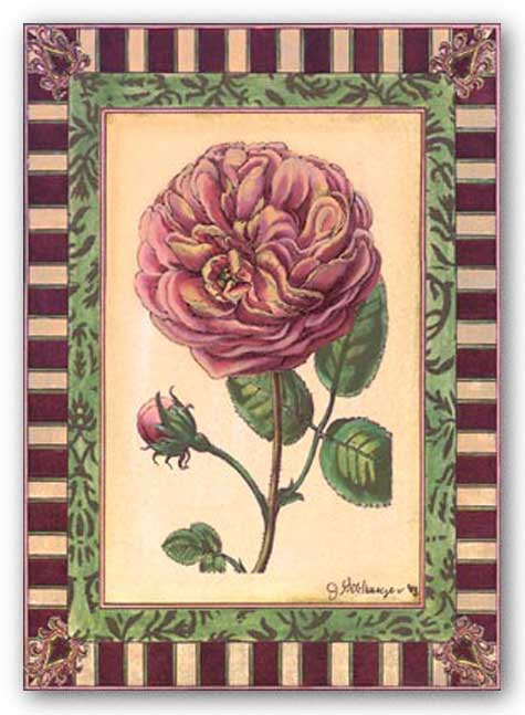 Renaissance Rose II by Jennifer Goldberger