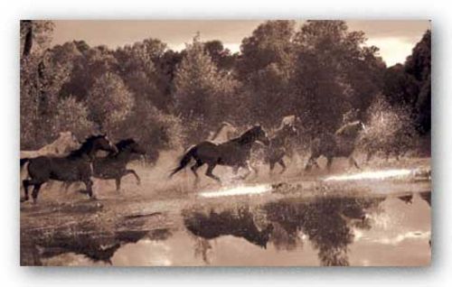 Horse Crossing by Robert Dawson