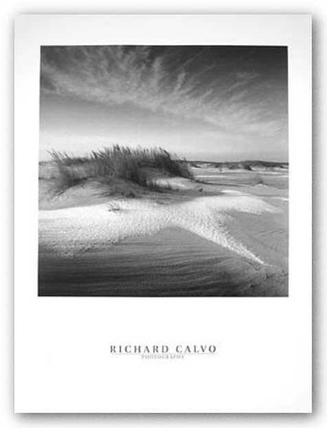 Sandy and Snow by Richard Calvo