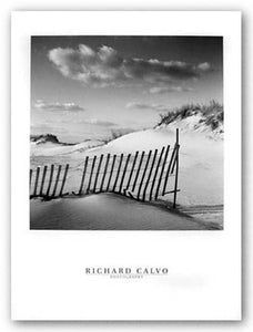 The Color Of Dreams by Richard Calvo