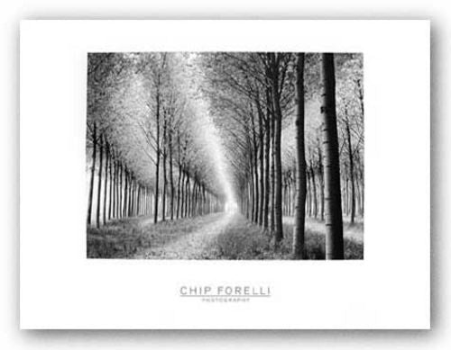 Tree Parade by Chip Forelli