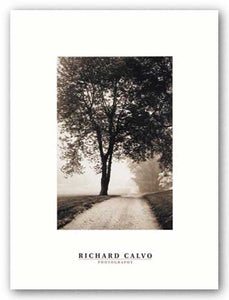 Country Road by Richard Calvo