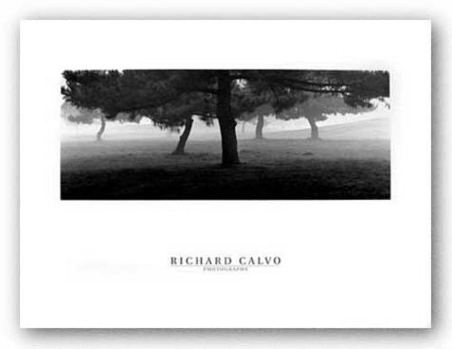 Trees In The Fog by Richard Calvo