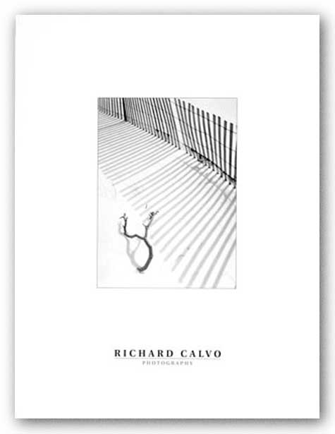 Snowfence and Branch by Richard Calvo