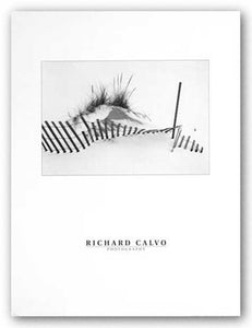 Snowfence by Richard Calvo