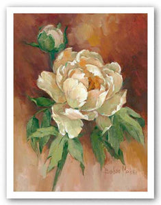 White Peonies II by Barbara Mock