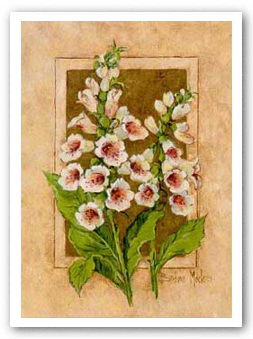 Foxglove Fresco by Barbara Mock