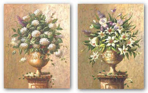 Floral Expressions Set by Welby