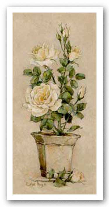 Shades Of Roses ll by Barbara Mock