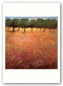 Orchard by Ken Hildrew