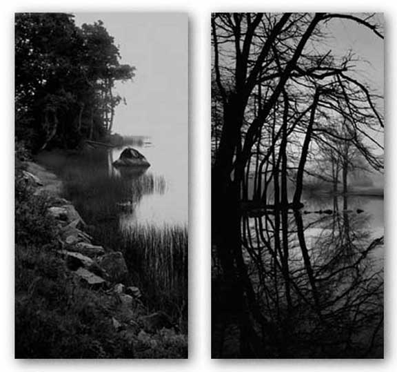 Caumsett Pond and Acadian Lake Set by Richard Calvo