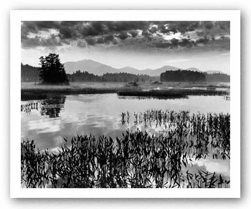 Oseetah Lake Morning by Richard Nowicki