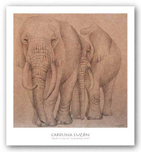 Elefantes En El Papel Dos by Carolina Luzon