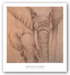 Elefantes En El Papel Quatro by Carolina Luzon