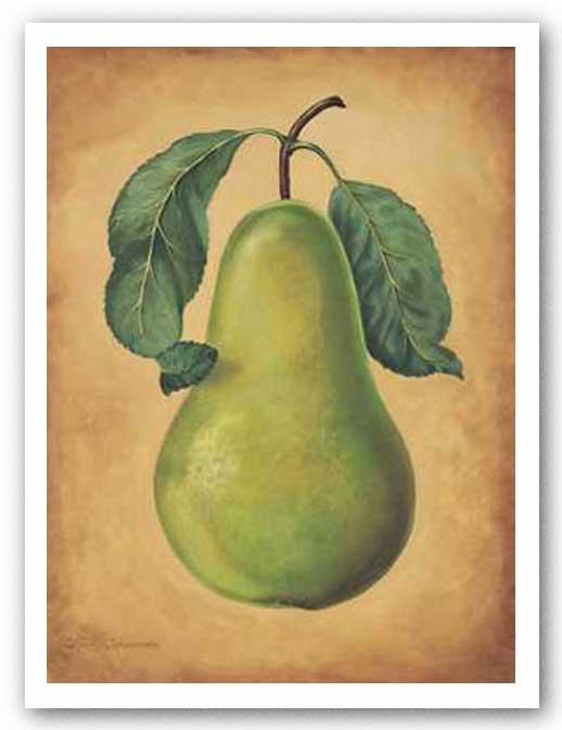 D'anjou Pear by Waltraud Schwarzbek