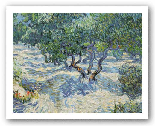 Olive Orchard by Vincent Van Gogh