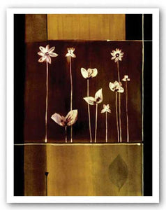 Flowers in Line II by Paul Matteo