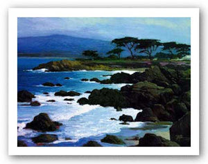 Coastline at Pacific Grove by Brian Blood