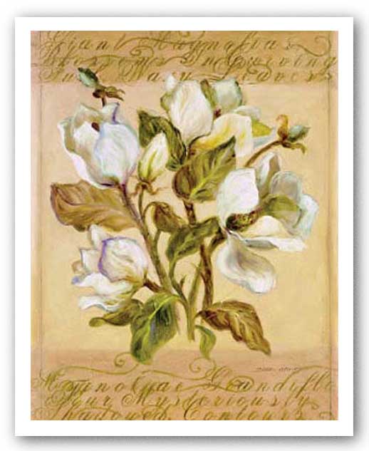 Magnolia II by Shari White