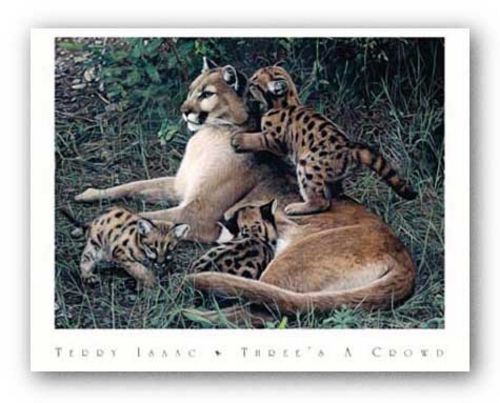 Three's A Crowd by Terry Isaac
