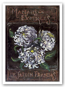 Exotic Mums From The French by Shari White