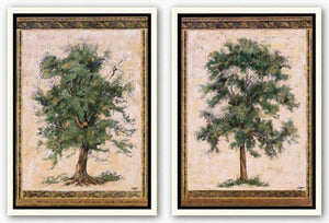 Old World Tree Set by Jennifer Goldberger