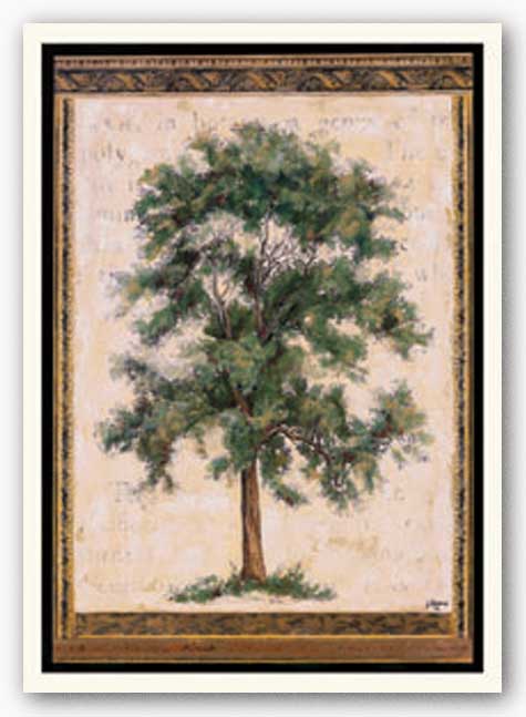 Old World Tree II by Jennifer Goldberger