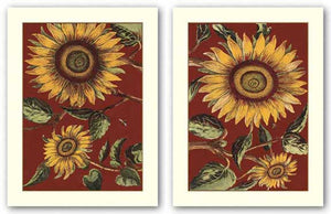 Sunflower Stars Set by Old World Prints