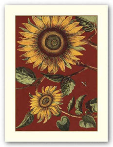 Sunflower Stars I by Old World Prints
