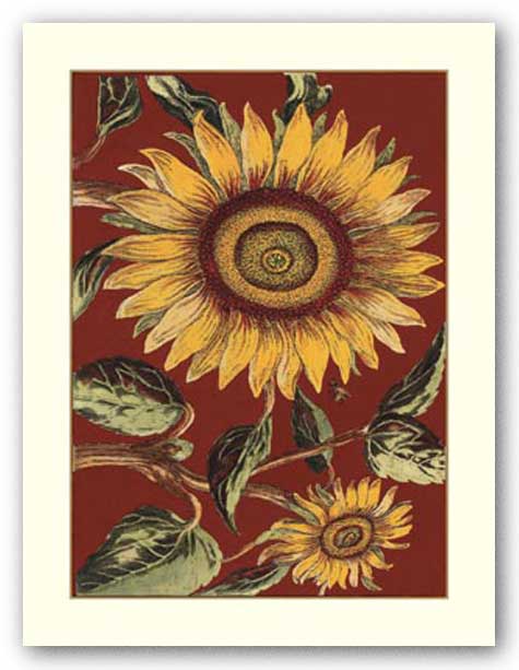 Sunflower Stars II by Old World Prints