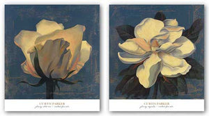Glowing Magnolia and Glowing White Rose Set by Curtis Parker