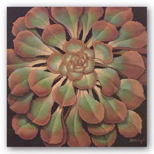 Succulent II by Janet Kruskamp