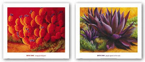 Purple Agaves On The Rocks and Orange Prickly Pear Set by Beth Zink
