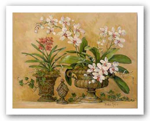 An Orchid Renaissance by Barbara Mock
