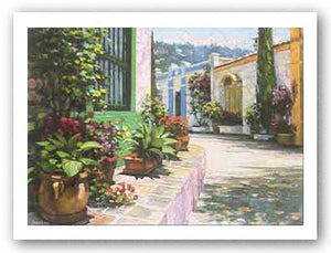 Andalusian Walkway by Howard Behrens