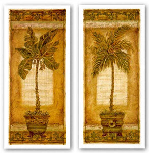 Palmera Coconut and Palmera Banana Set by Shari White