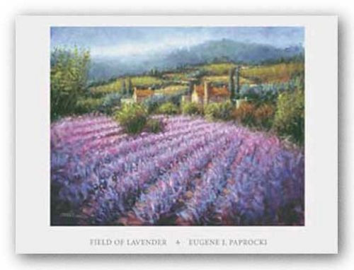 Field Of Lavender by Eugene Paprocki