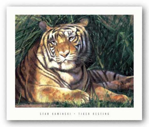 Tiger Resting by Stan Kaminski