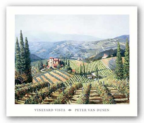 Vineyard Vista by Peter Van Dusen