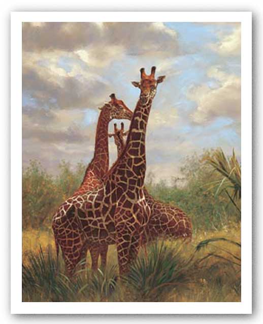 African Giraffes by Gerald