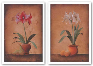 Floral Textures Set by Wilbur