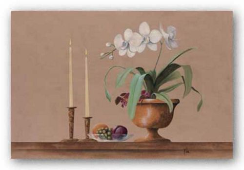 White Orchid Still Life by Wilbur
