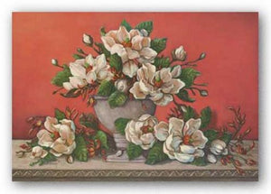 Classical Magnolia II by Janet Kruskamp