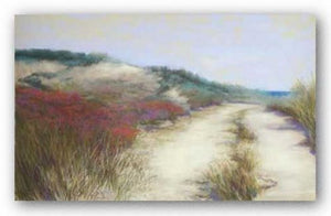 Dunes, Ocean View by Lois Gold