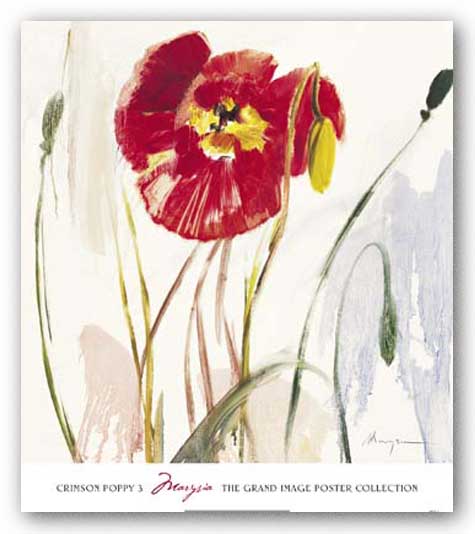 Crimson Poppy 3 by Marysia Burr