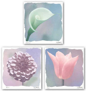 Tulip - Calla Lily - Dahlia Set by Judy Mandolf